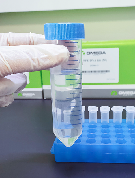 未来之星儿童天赋基因解码 未来之星儿童天赋基因解码