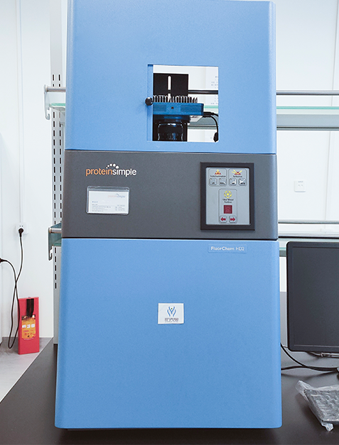 未来之星儿童天赋基因解码 未来之星儿童天赋基因解码