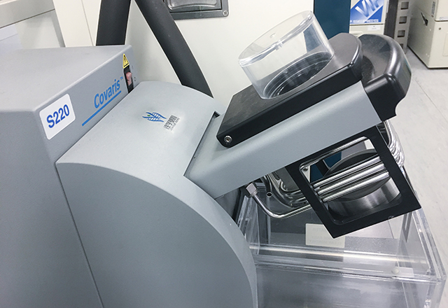 一个医生的呐喊