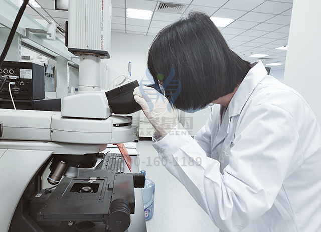 【佳学基因基因检测】脱发基因解码:让头发生长的基因 【佳学基因基因检测】脱发基因解码:让头发生长的基因