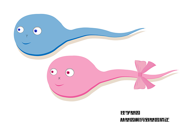 【佳学基因检测】做林奇综合征基因解码、基因检测需要多少钱? 【佳学基因检测】做林奇综合征基因解码、基因检测需要多少钱?