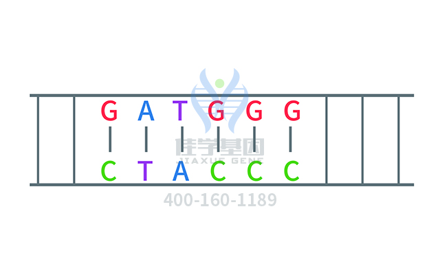 【佳学基因检测】做先天性红细胞生成性卟啉症基因解码、基因检测方便吗？