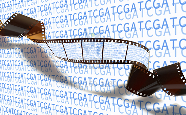 【佳学基因检测】面部畸形基因解码、基因检测的报告有人解读吗? 【佳学基因检测】面部畸形基因解码、基因检测的报告有人解读吗?