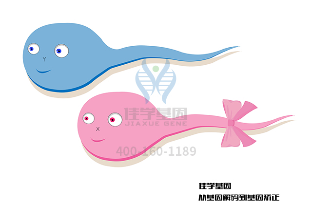 【佳学基因检测】阿扑长春胺酸乙酯基因检测