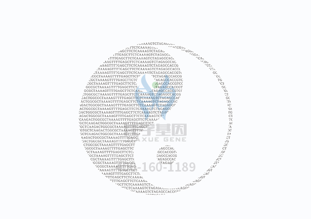 【佳学基因检测】做网状色素皮病基因解码、基因检测需要多长时间? 【佳学基因检测】做网状色素皮病基因解码、基因检测需要多长时间?