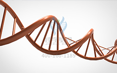 【佳学基因检测】怎么做常染色体隐性广泛性甲状腺激素抵抗基因解码、基因检测?