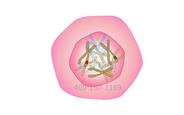 【佳学基因检测】做甲状腺相关性眼病易感性基因解码、基因检测需要到总部吗？