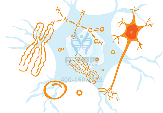 【佳学基因检测】如何区分精神发育不全23型基因解码、基因检测? 【佳学基因检测】如何区分精神发育不全23型基因解码、基因检测?