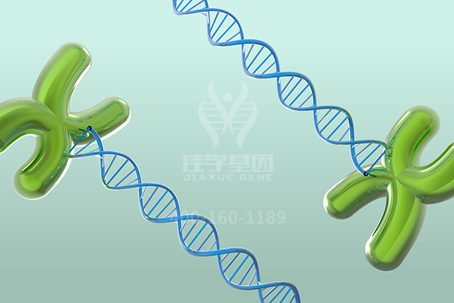 【佳学基因检测】药房主任如何询问关于ASS1P14的分子病理检测知识 【佳学基因检测】药房主任如何询问关于ASS1P14的分子病理检测知识