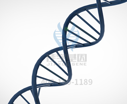【佳学基因检测】肚子里的胎儿有三个月了，分子病理检测ATP1A4突变，该怎么办？
