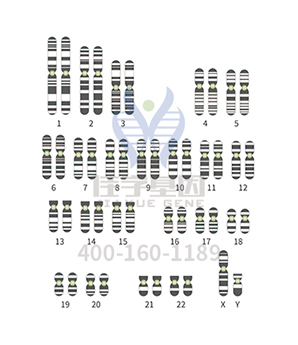 【佳学基因检测】ASNSP2基因评估分析有突变会得什么病? 【佳学基因检测】ASNSP2基因评估分析有突变会得什么病?