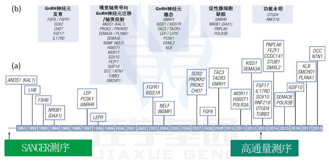 【佳学基因检测】青春期延迟的多种表现及其基因解码、基因检测的重要作用 【佳学基因检测】青春期延迟的多种表现及其基因解码、基因检测的重要作用