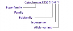 【佳学基因检测】肿瘤个体化治疗检测技术指南(试行)——国家标准 【佳学基因检测】肿瘤个体化治疗检测技术指南(试行)——国家标准