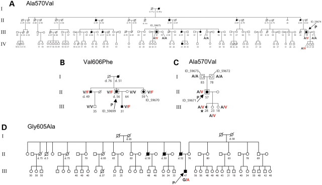 【佳学基因检测】ADCA-DN综合征基因解码、基因检测 【佳学基因检测】ADCA-DN综合征基因解码、基因检测