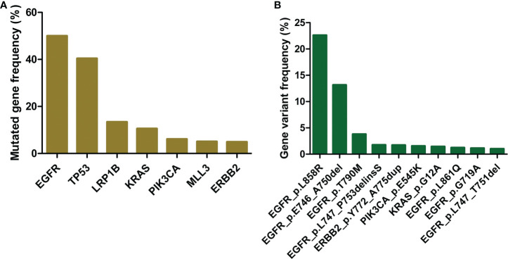 【佳学基因检测】如何提高肺癌靶向药物基因检测的治疗效果? 【佳学基因检测】如何提高肺癌靶向药物基因检测的治疗效果?