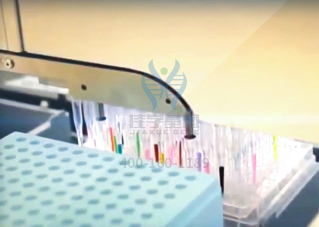 【佳学基因-基因检测】基因解码助力雷特综合征(RETT综合征)有效防治 【佳学基因-基因检测】基因解码助力雷特综合征(RETT综合征)有效防治