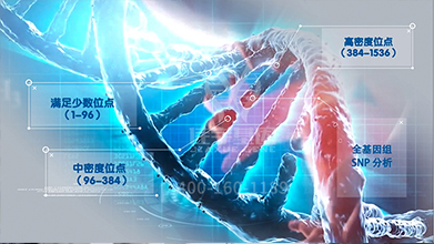 幼儿学各种才艺的选择和最佳年龄