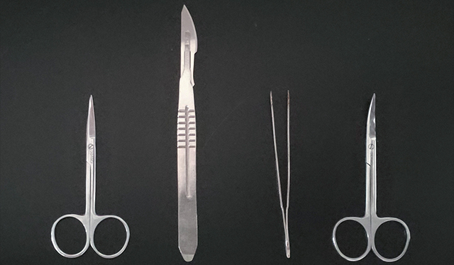 【佳学基因解码-基因检测】基因突变解惑面部畸形