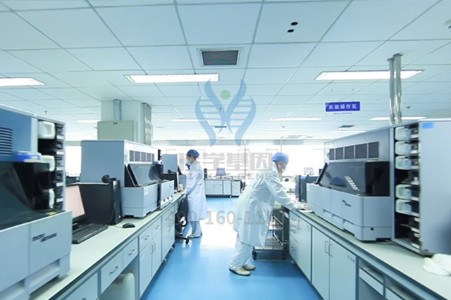 【佳学基因检测】药房主任如何询问关于CDK4的基因检测知识