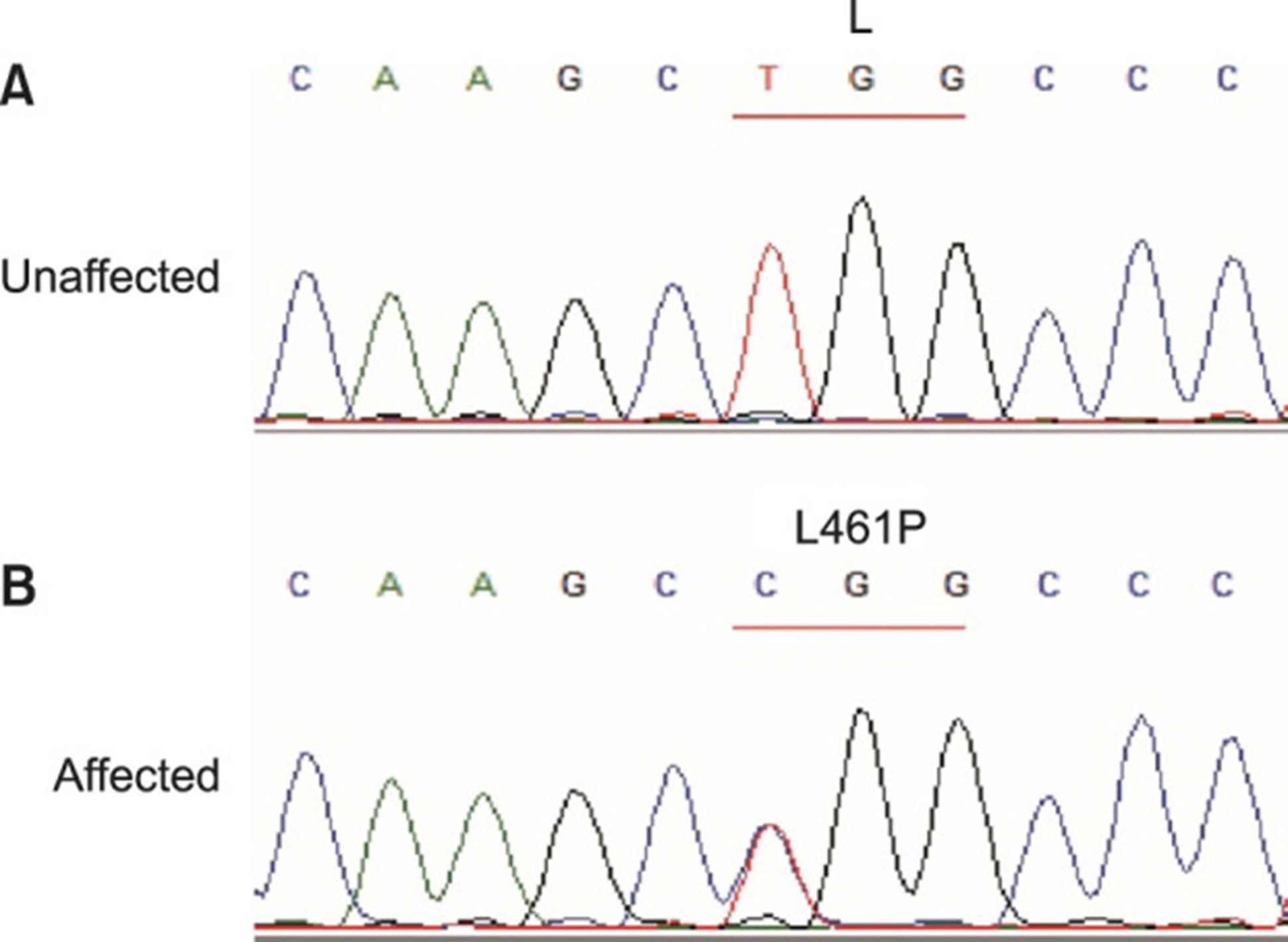 【佳学基因检测】单纯性大疱性表皮松解症基因检测Epidermolysis bullosa simplex 【佳学基因检测】单纯性大疱性表皮松解症基因检测Epidermolysis bullosa simplex