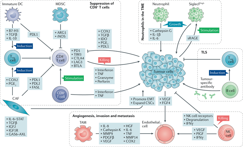 【佳学基因检测
