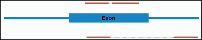 【佳学基因检测
