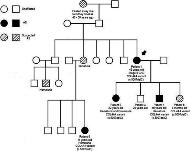 【佳学基因检测】遗传性肾脏疾病基因解码与基因检测：COL4A4突变及解释