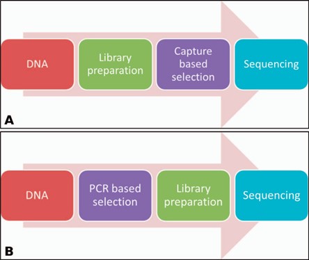 【佳学基因检测