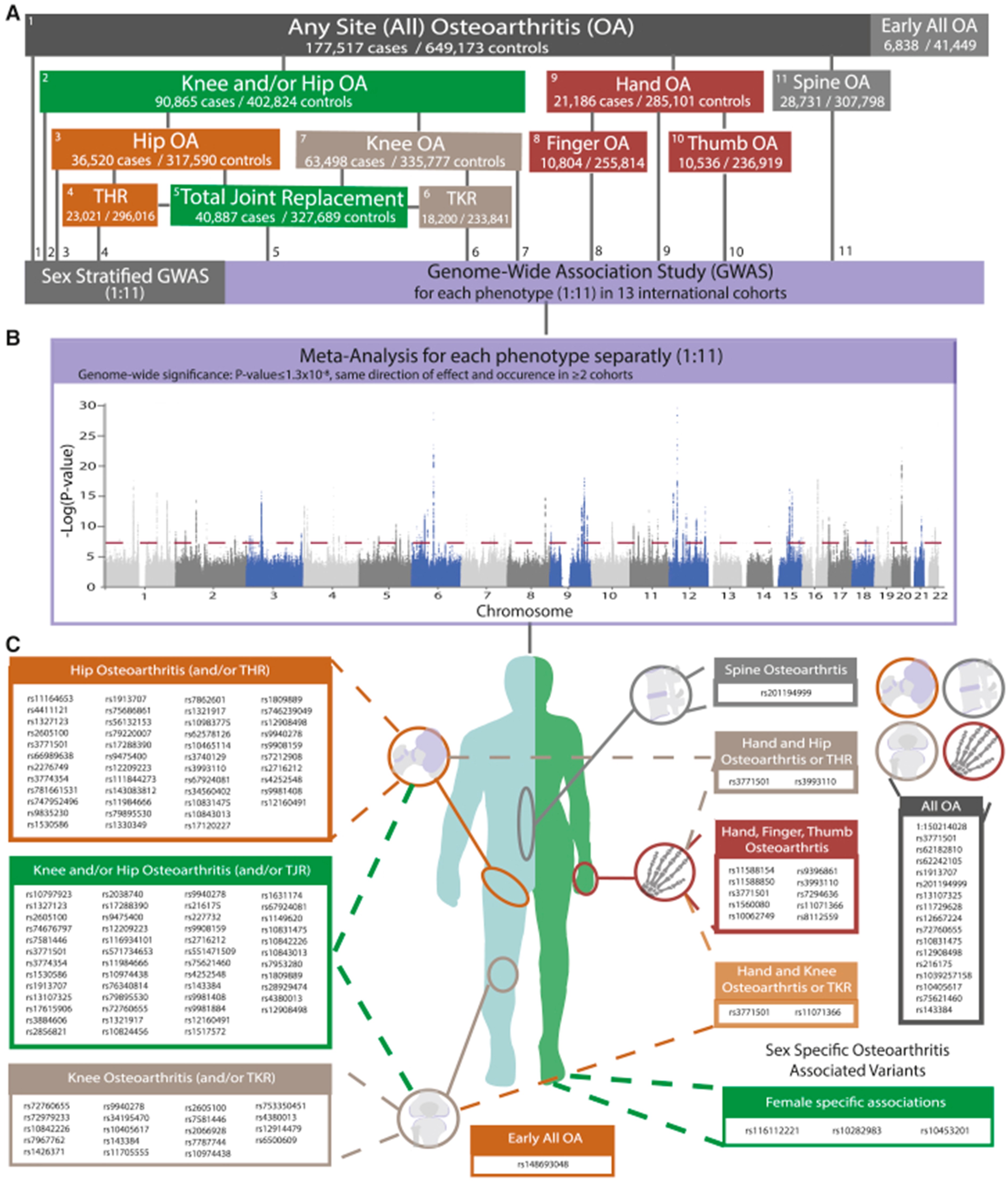 【佳学基因检测