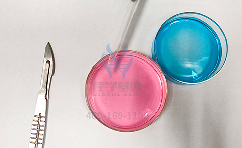 【佳学基因检测