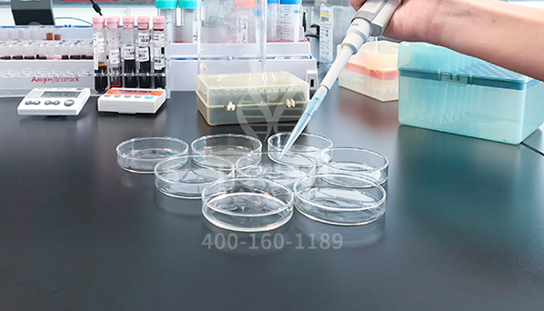 【佳学基因-基因