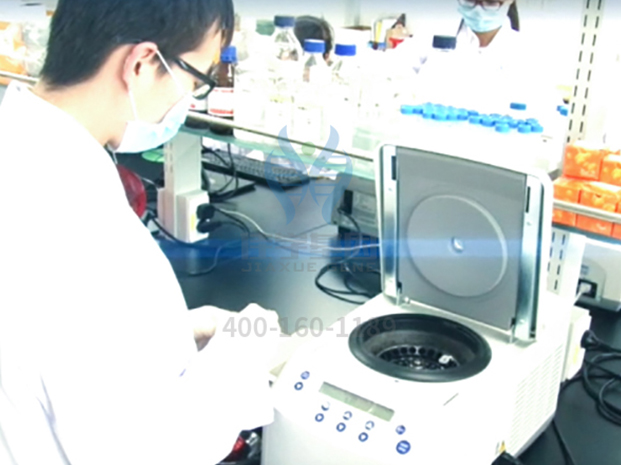 【佳学基因-基因检测】肥胖会增加肾癌风险？