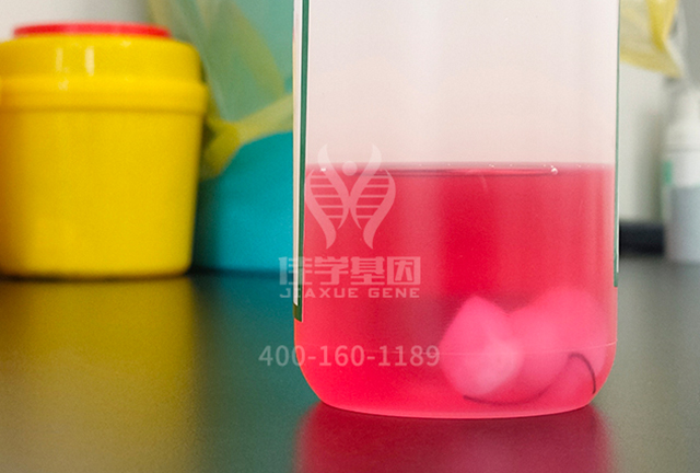 【佳学基因解码-基因检测】他收集诺贝尔奖得主的精子来培养天才儿童！结果如何了？