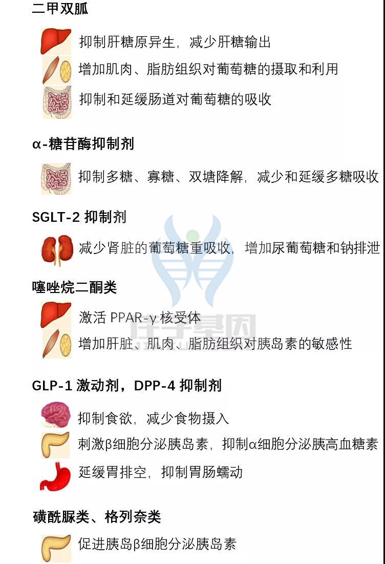 【佳学基因检测】如果没有做基因检测，糖尿病用药至少要知道这些要点