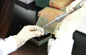 【佳学基因检测】领了结婚证,疾病筛查GCNT1有突变,该告诉她吗? 【佳学基因检测】领了结婚证,疾病筛查GCNT1有突变,该告诉她吗?