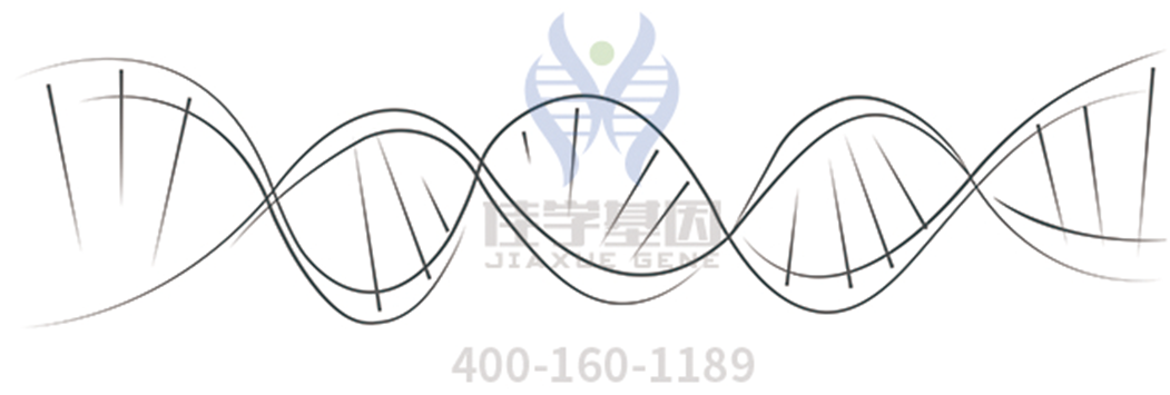 【佳学基因检测】汽车尾气代谢基因解码、基因检测 【佳学基因检测】汽车尾气代谢基因解码、基因检测