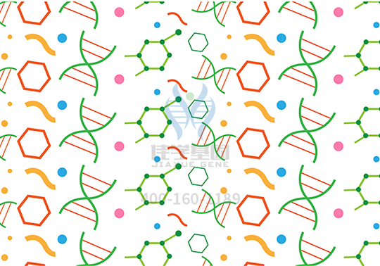 【佳学基因-基因检测】Ⅱ型糖尿病真凶大揭秘! 【佳学基因-基因检测】Ⅱ型糖尿病真凶大揭秘!
