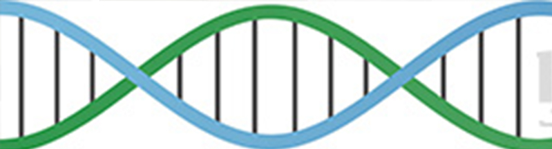 【佳学基因解码-基因检测】英国王室秃顶基因太强大，帅气的威廉王子也中招