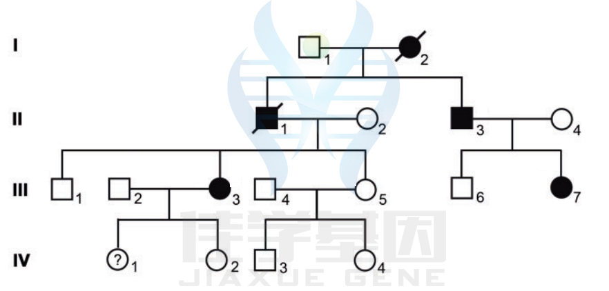 【案例报导】眼前段发育不良基因解码、基因检测 【案例报导】眼前段发育不良基因解码、基因检测