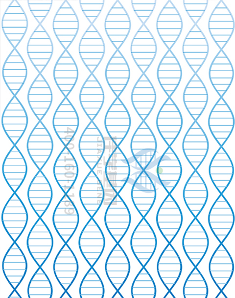 【佳学基因解码-基因检测】没有头发，没有牙齿，患罕见病的她却成为最抢手的模特