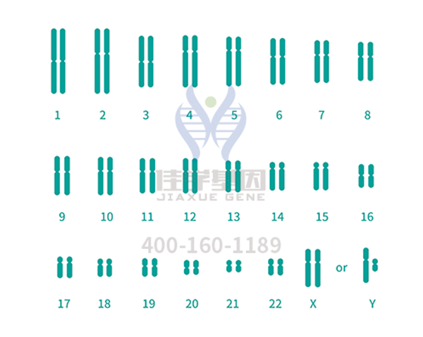 【佳学基因解码-基因检测】一种类肿瘤的肺部疾病——特发性肺纤维化 【佳学基因解码-基因检测】一种类肿瘤的肺部疾病——特发性肺纤维化