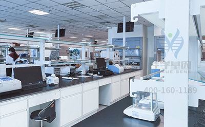 【佳学基因解码-基因检测】古今中外，有哪些王室被“遗传病噩梦”所困扰？