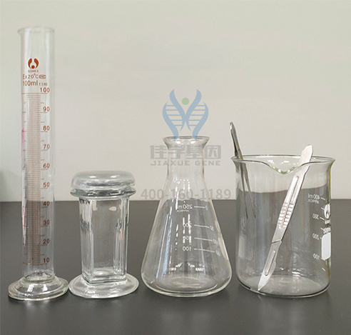 【佳学基因检测】药物性耳聋基因解码、基因检测