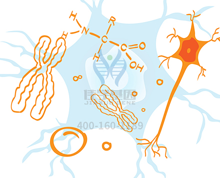 【佳学基因解码-基因检测】如何避免婴幼儿患脊髓性肌萎缩症? 【佳学基因解码-基因检测】如何避免婴幼儿患脊髓性肌萎缩症?