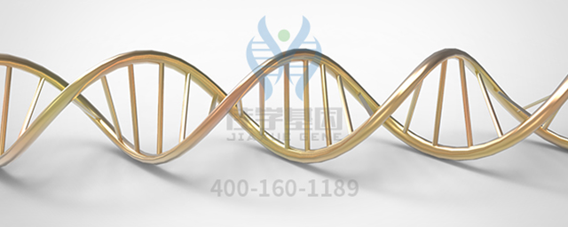 【佳学基因检测