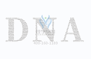 【佳学基因检测