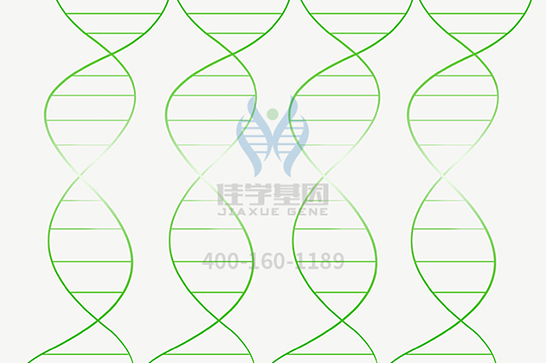 【佳学基因检测】视网膜色素变性相关问题,你想了解的都在这里! 【佳学基因检测】视网膜色素变性相关问题,你想了解的都在这里!