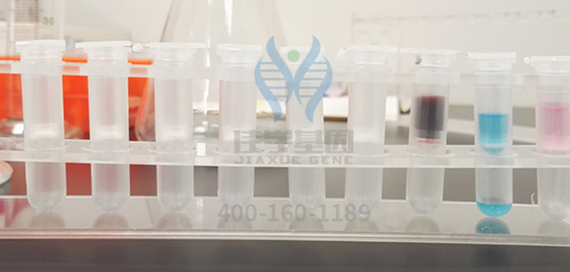 【佳学基因解码-基因检测】为什么到医院检查抽血需要空腹?喝水算不算空腹?看完你就明白了! 【佳学基因解码-基因检测】为什么到医院检查抽血需要空腹?喝水算不算空腹?看完你就明白了!