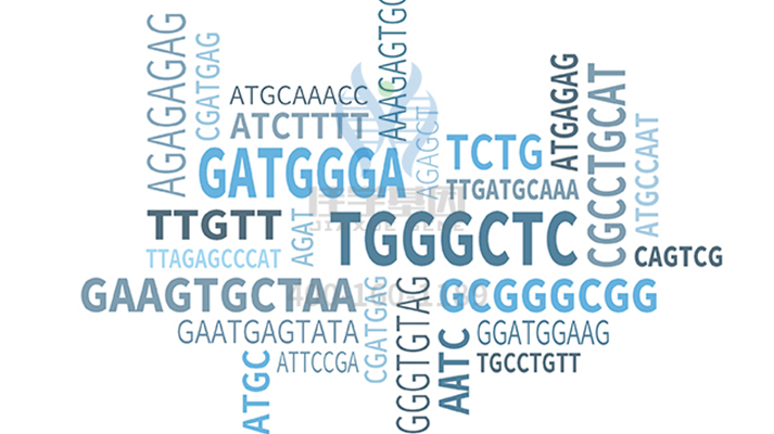 【佳学基因解码-基因检测】这些明星因肥胖而陨落,肥胖竟会导致这些癌症的爆发? 【佳学基因解码-基因检测】这些明星因肥胖而陨落,肥胖竟会导致这些癌症的爆发?