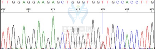 【基因解码基因检测案例】结节性硬化症-佳学基因 【基因解码基因检测案例】结节性硬化症-佳学基因